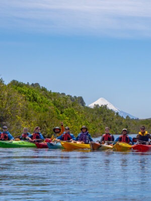 Fin de año soñado: Patagonia Chilena